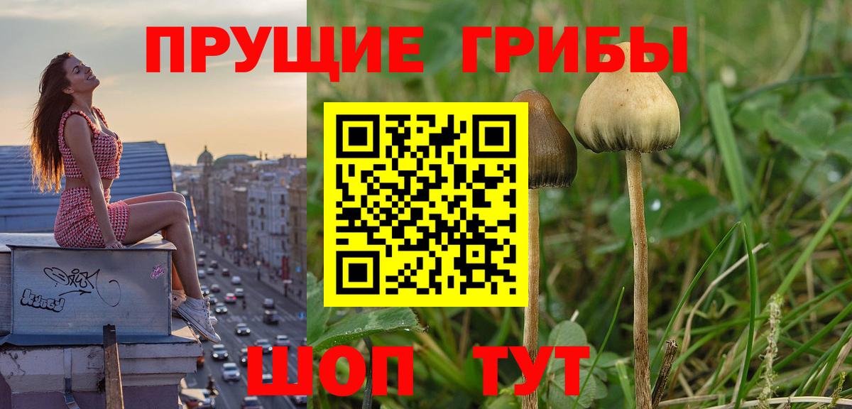 Галлюциногенные грибы GOLDEN TEACHER Оренбург